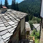 - Monte