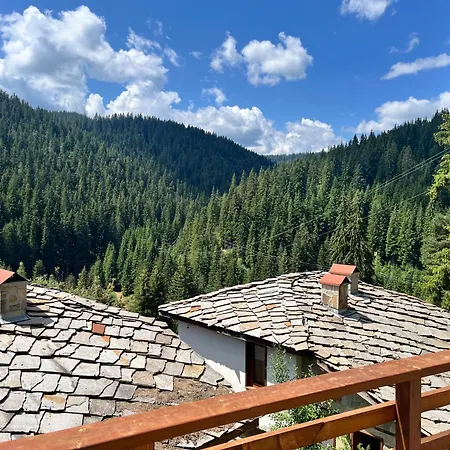 Guest house в село - комплекс божидарица 4а 4*