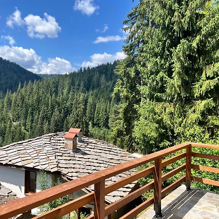 в село - комплекс божидарица 4а Guest house 4*