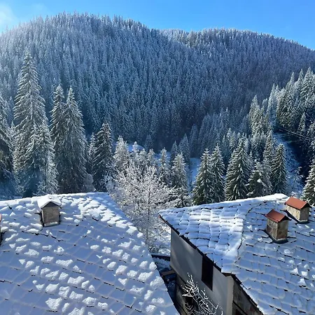Pensión - Monte 4*