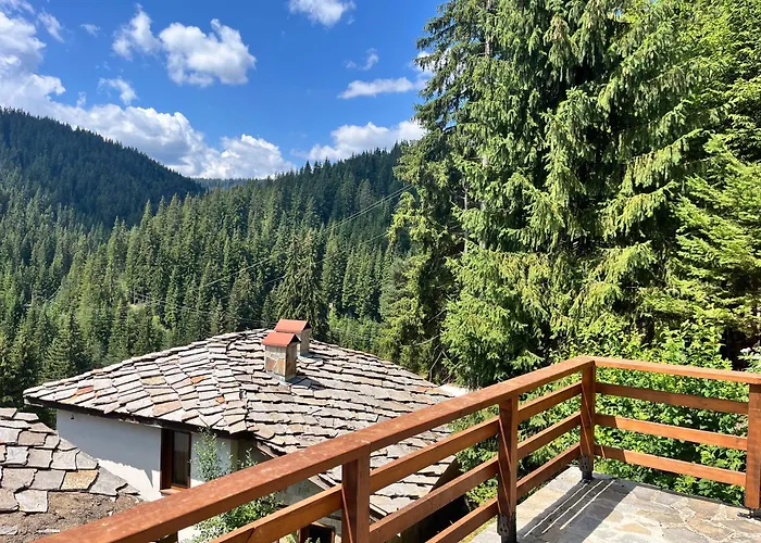 в село - комплекс божидарица 4а Guest house 4*