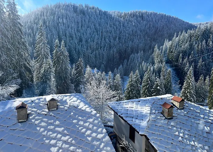 Guest house в село - комплекс божидарица 4а 4*