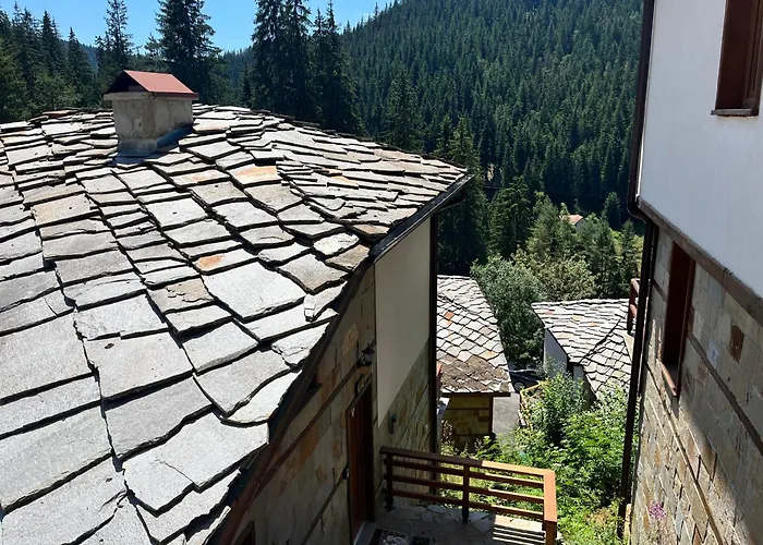 в село - комплекс божидарица 4а